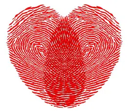 Photo Mirror Booth »