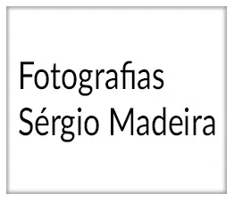 📱 Fotografias Sérgio Madeira »